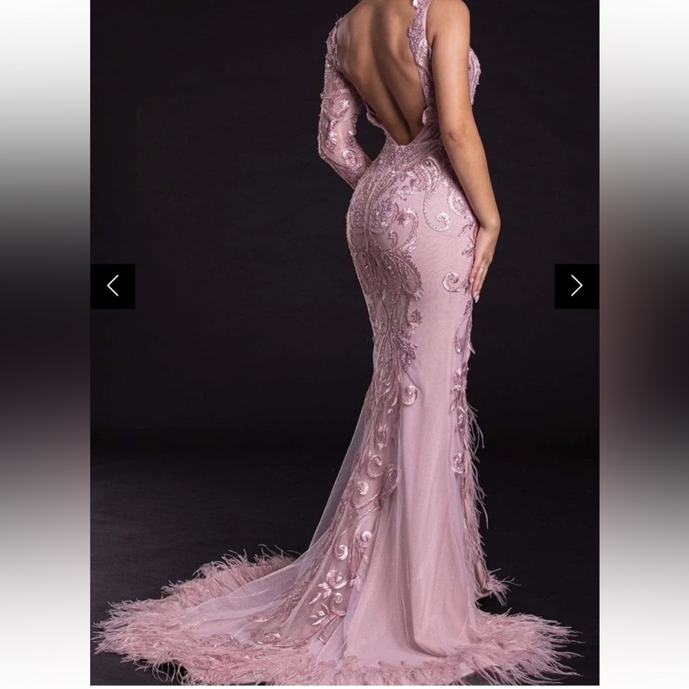 Portia and Scarlett Blush Long Sleeve Feather Fringed Embroidered Gown Size 6 - Picture 11 of 16